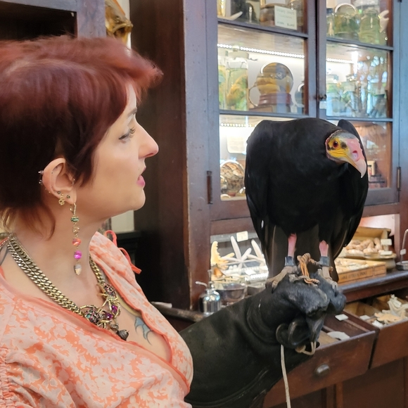 Meet your Posher, Emily - Picture 6 of 14